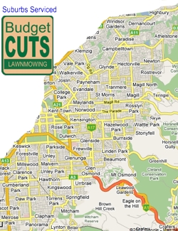 Budget Cuts Lawnmowing - Quality Lawn and Garden Care at Sensible Prices